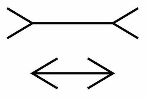 DataFocus从入门到精通 图3 缪勒—莱尔错觉